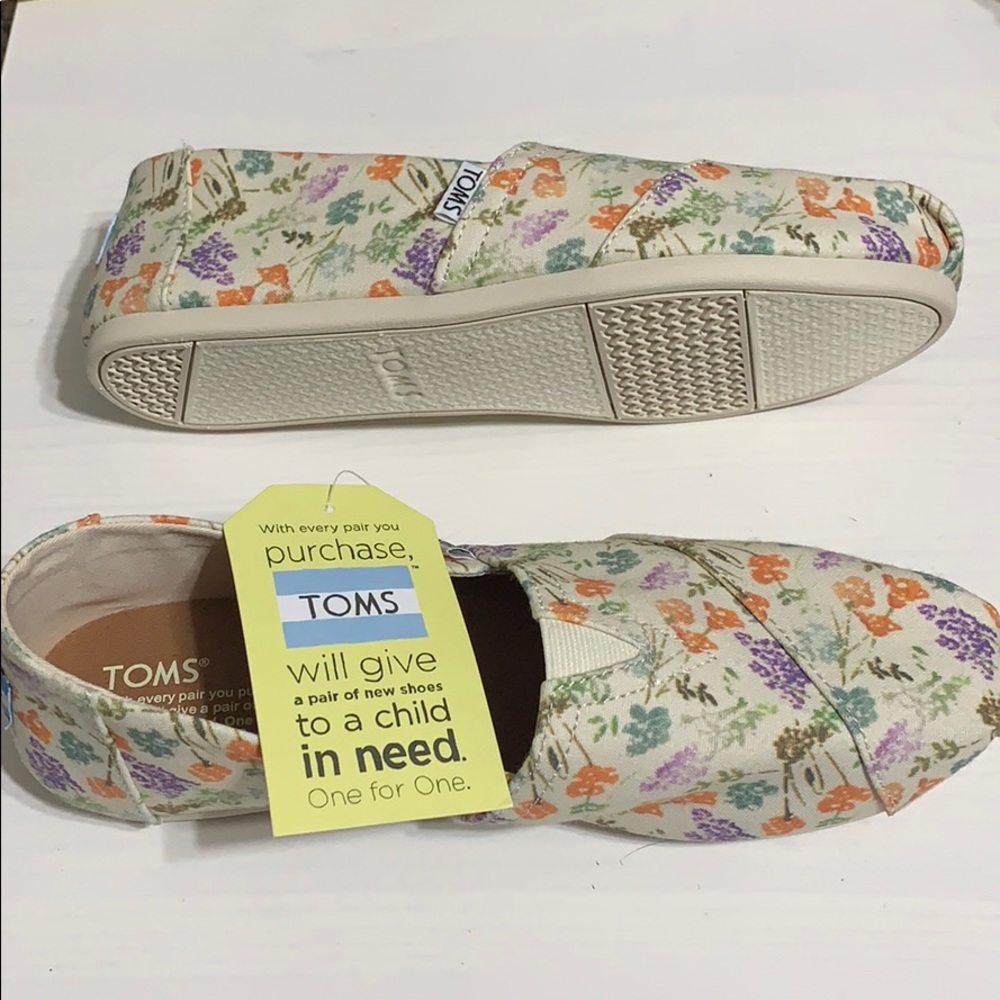 TOMS 8.5